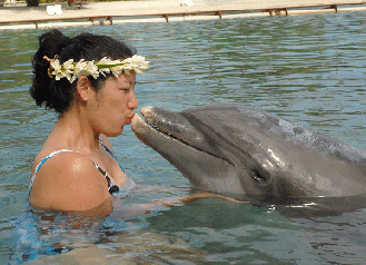 dolphin kiss